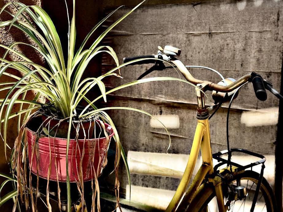 Maya Rhome Trastevere Rome Luaran gambar